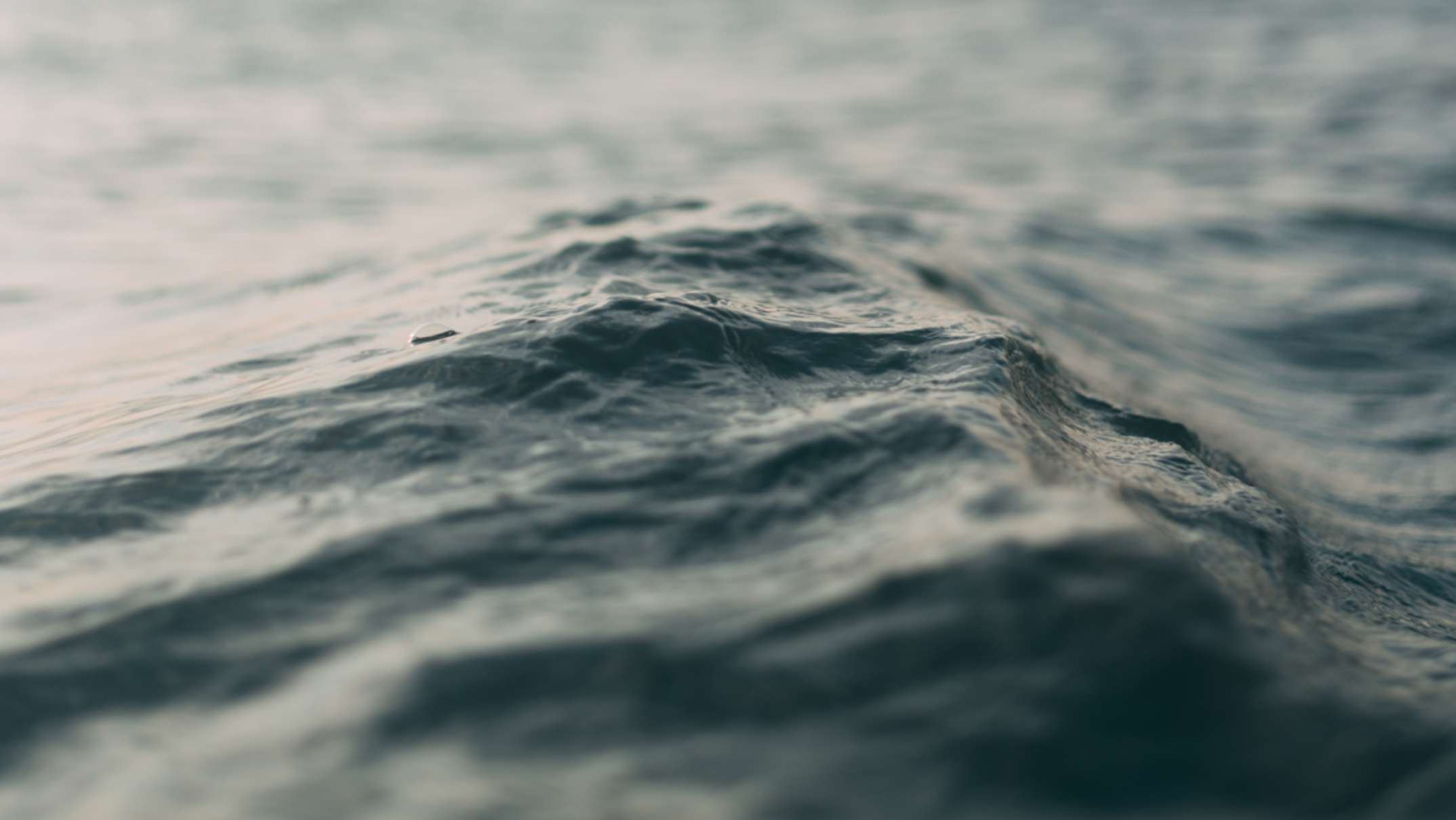 L'art de surfer sur les vagues