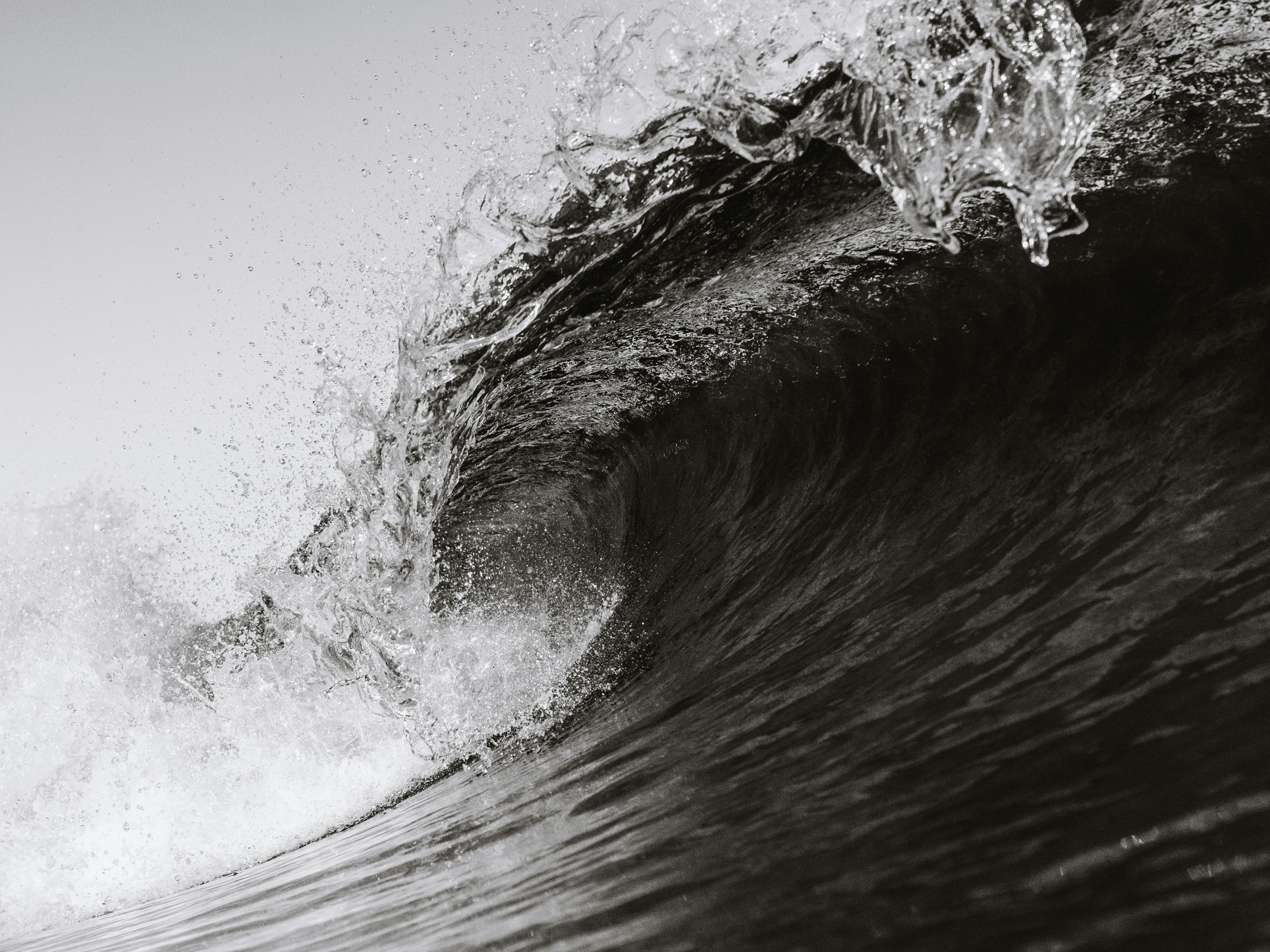 L'art de surfer sur les vagues